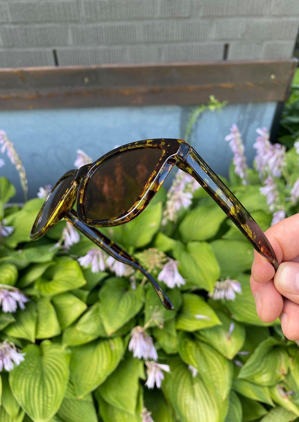 Our Mood V2 is an improved version of our last wayfarers. Plastic body for great quality and durabilty. This is Chic with tortoise frame and brown lenses. Out in the nature.