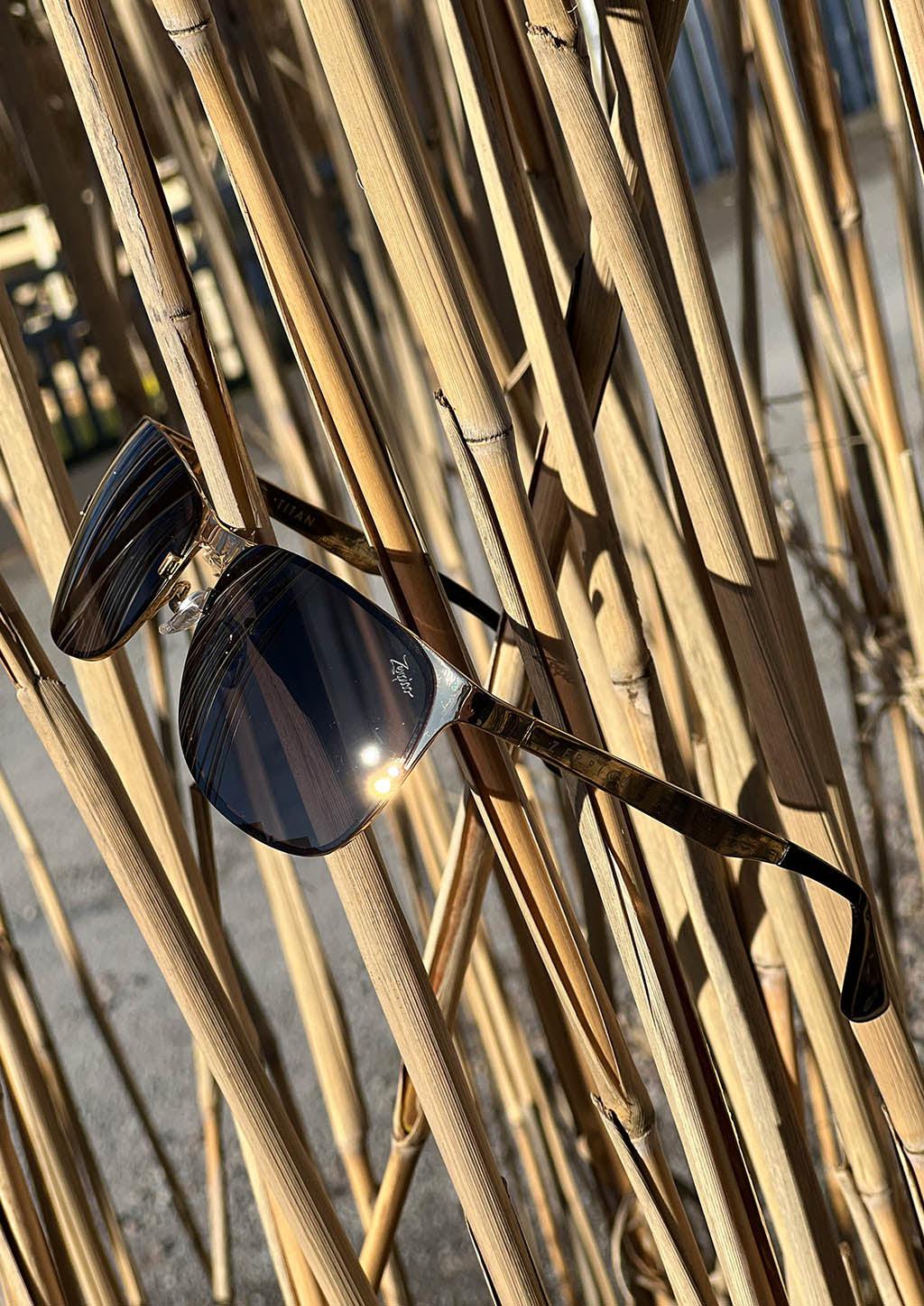 Titan - Titanium Wayfarer Sunglasses V2 - 24K Gold Plated with real gold. Photo taken outside with bamboo.